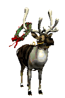 Reindeer Owners and Breeders Association